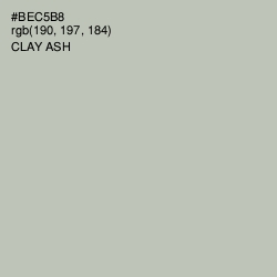 #BEC5B8 - Clay Ash Color Image